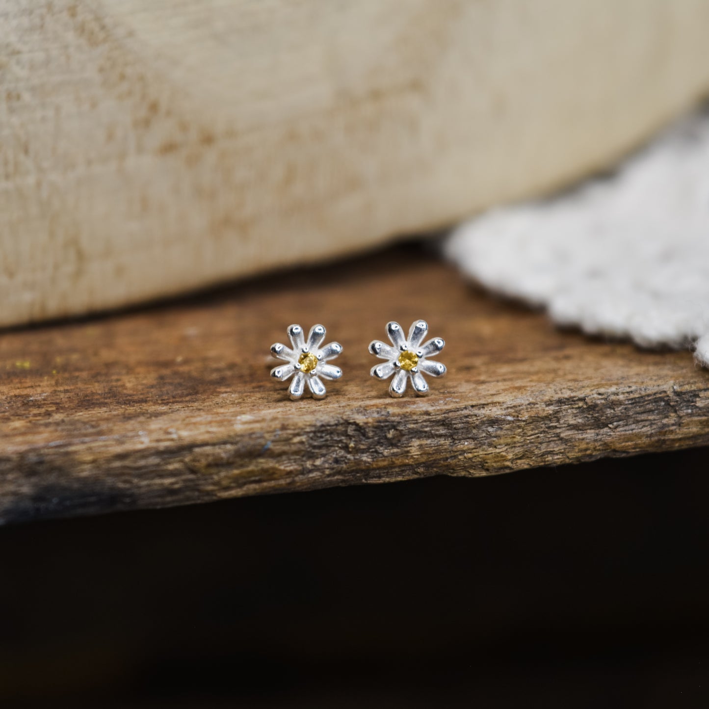 Aster studs