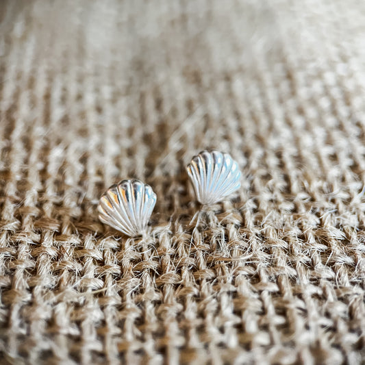 Venus shell studs