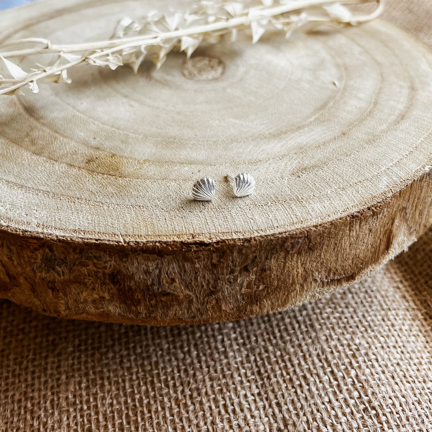 Venus shell studs