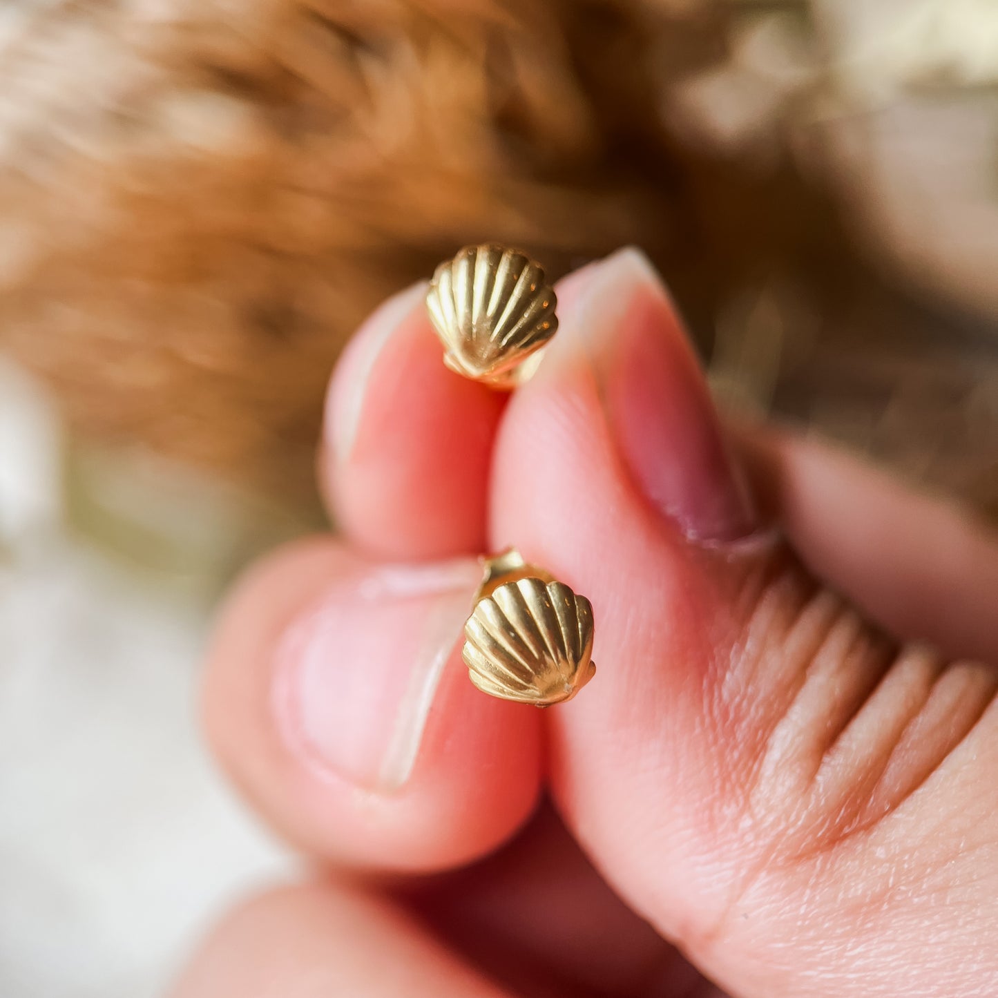 Gold Venus shell studs