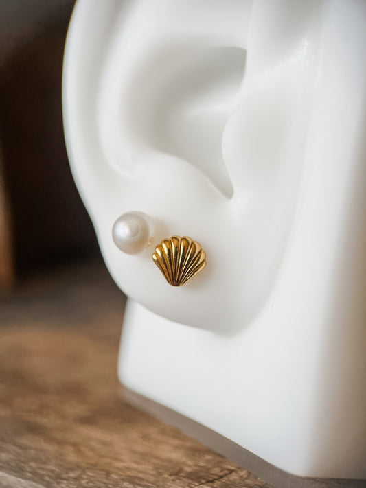 Gold Venus shell studs