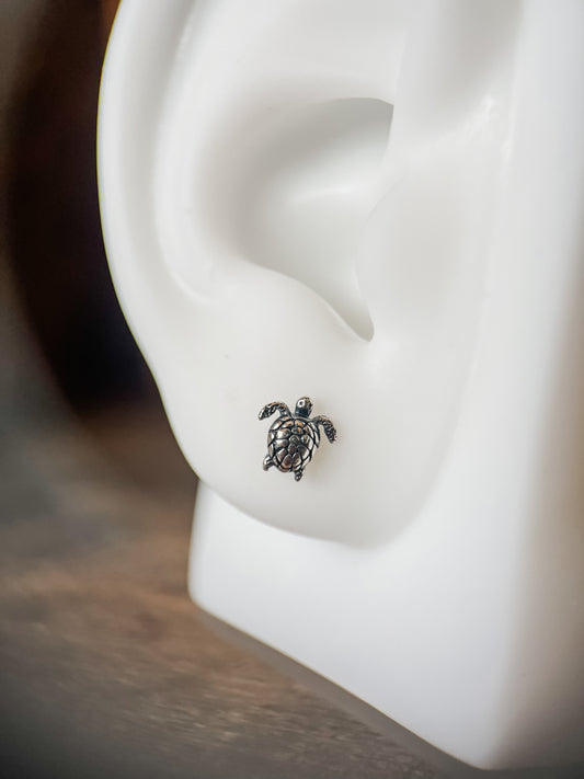 Tortoise studs