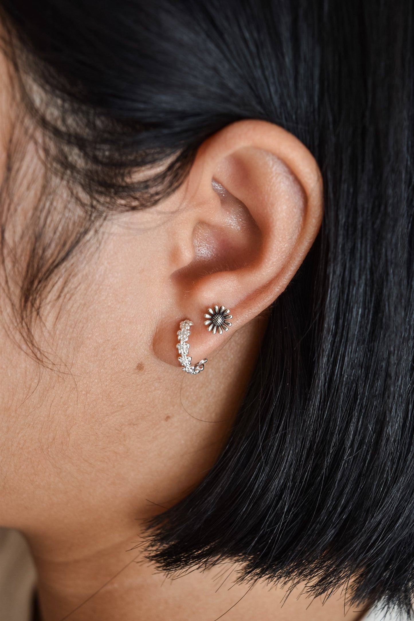 Ashy sunflower studs