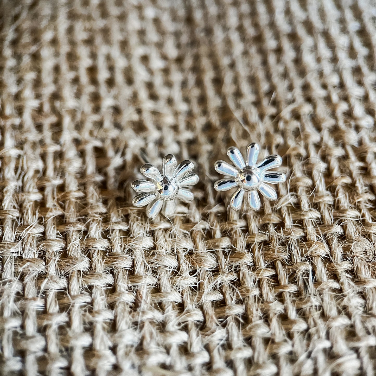 Wild daisy studs